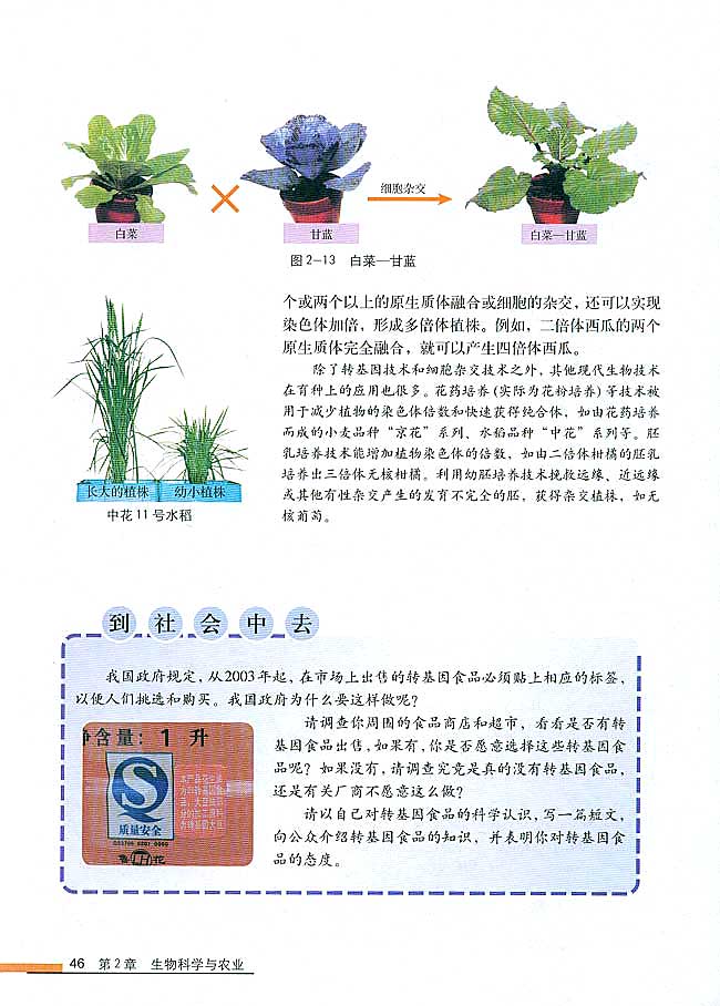 第2节 现代生物技术在育种上的应用(第46页)