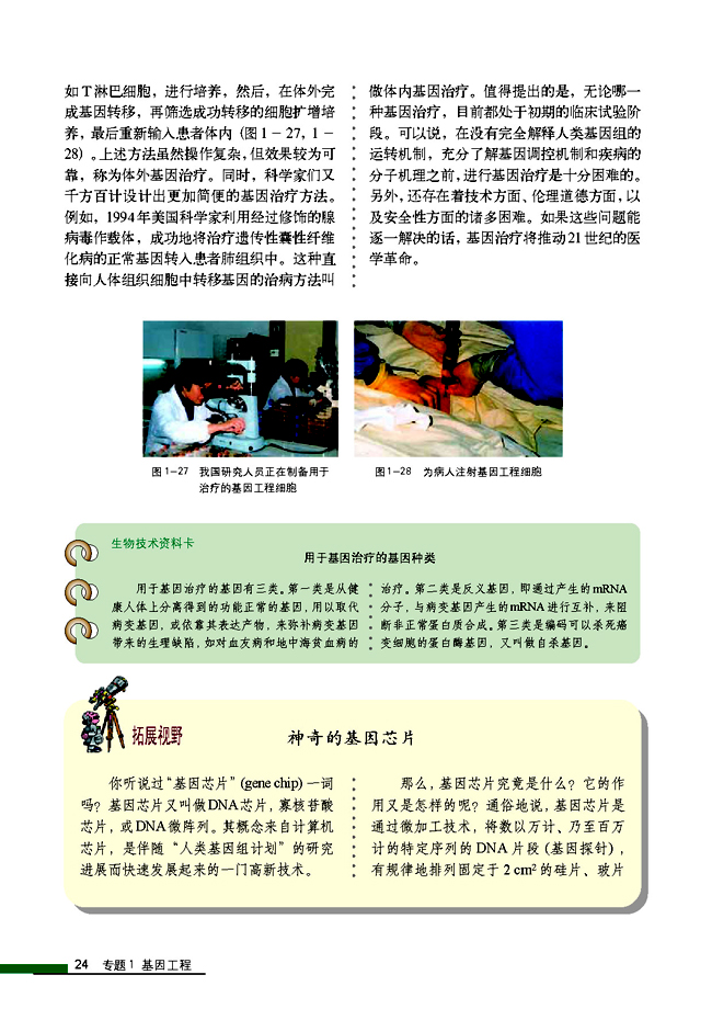 拓展视野 神奇的基因芯片(第24页)