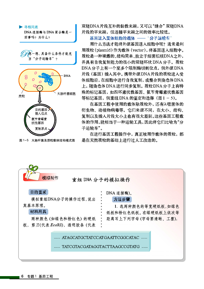 1.1 DNA重组技术的基本工具(第6页)