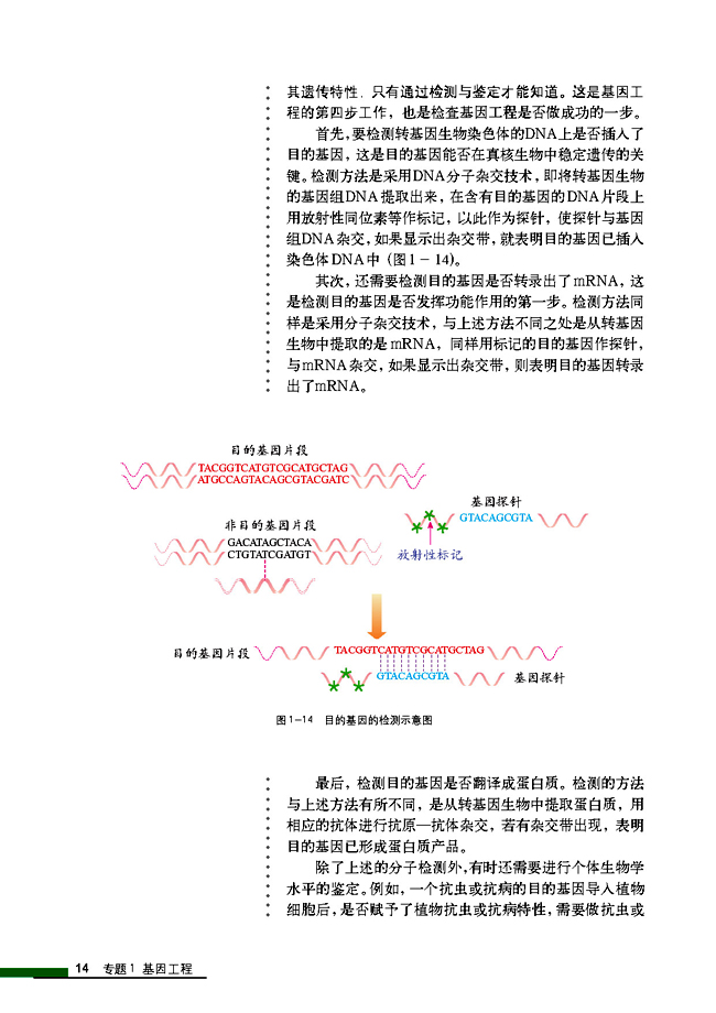 1.2 基因工程的基本操作程序(第14页)