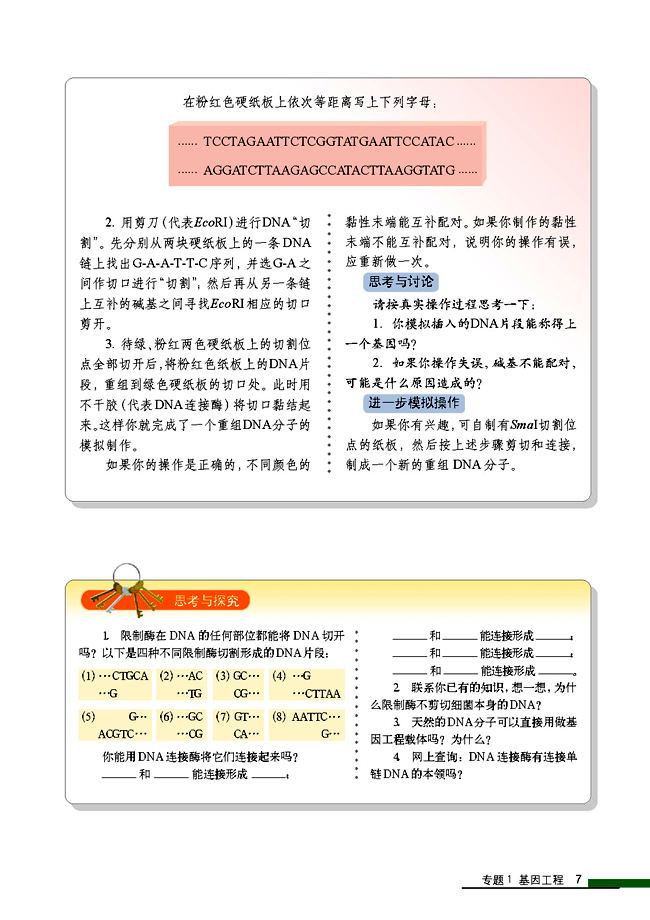 1.1 DNA重组技术的基本工具(第7页)