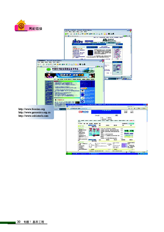 1.4 蛋白质工程的崛起(第30页)