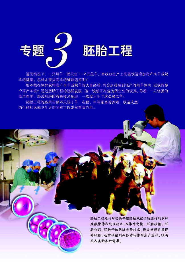 拓展视野 多利羊猜想(第59页)