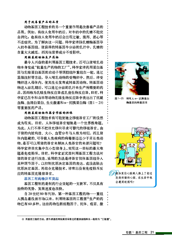 1.3 基因工程的应用(第21页)