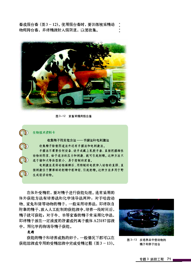3.2 体外受精和早期胚胎培养(第71页)