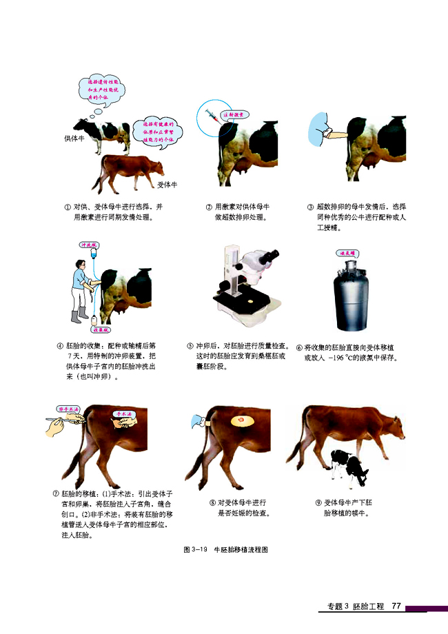 3.3 胚胎工程的应用及前景(第77页)