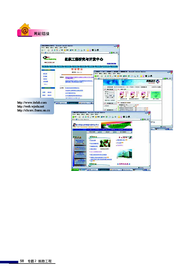 拓展视野 多利羊猜想(第58页)