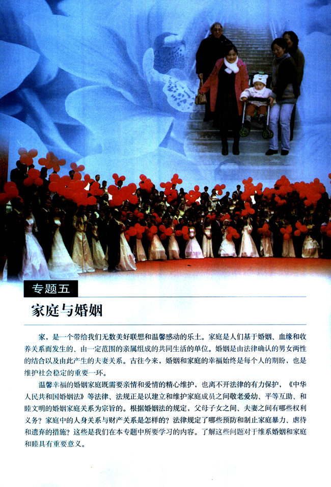 专题五 家庭与婚姻(第67页)