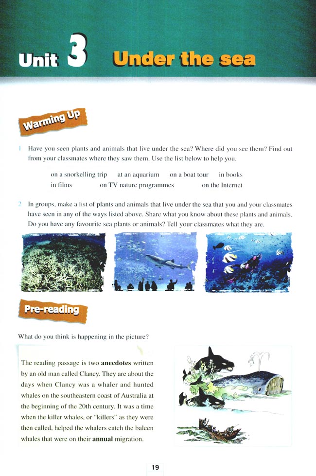 Unit 3 Under the sea(第19页)