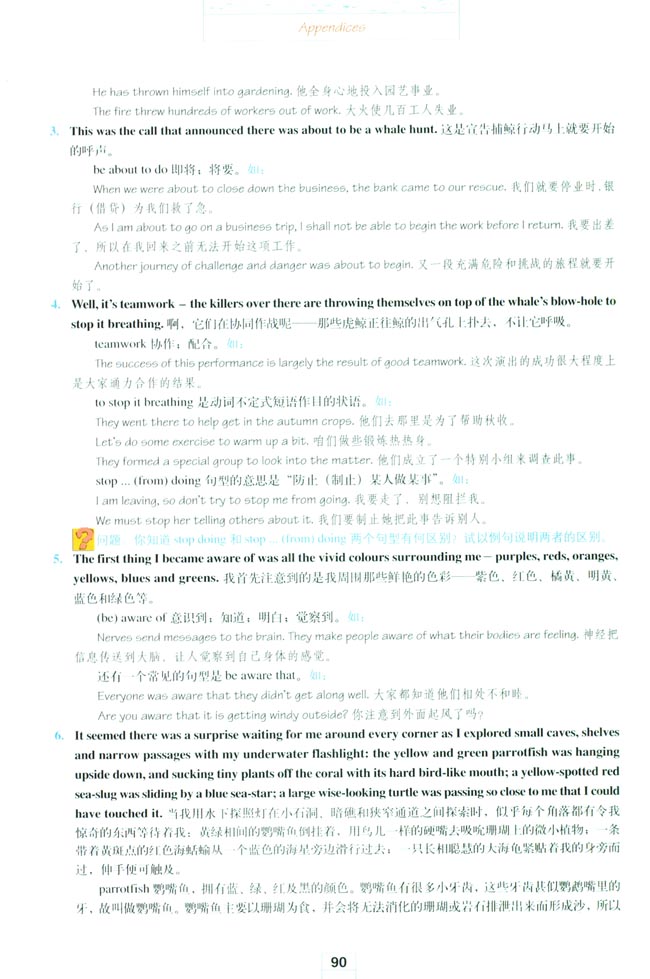 Appendices 附录(第90页)