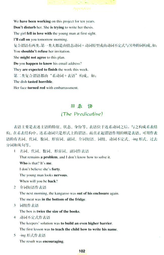 Grammar(第102页)