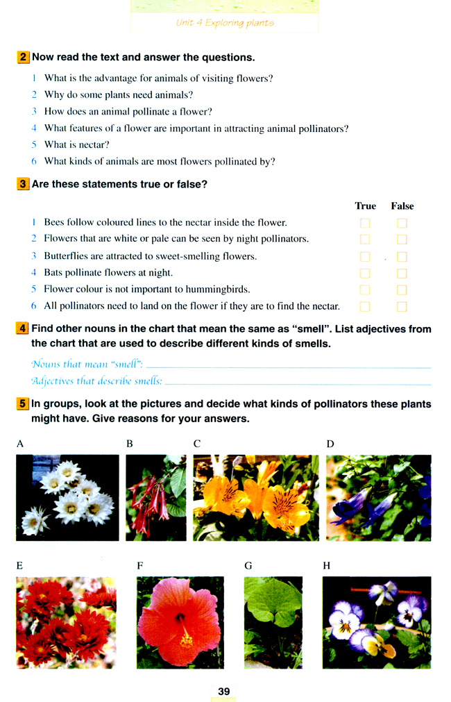 Unit 4 Exploring plants(第39页)