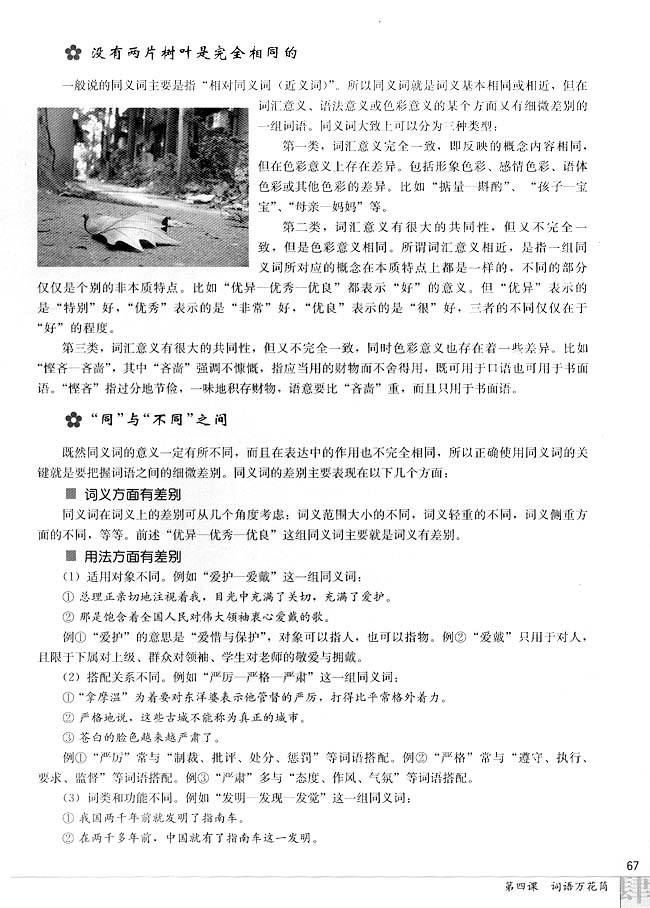 第二节 词语的兄弟姐妹(第67页)