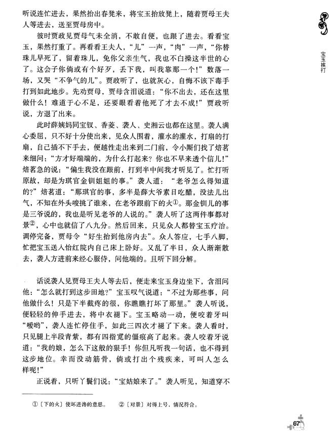 10 宝玉挨打(第67页)