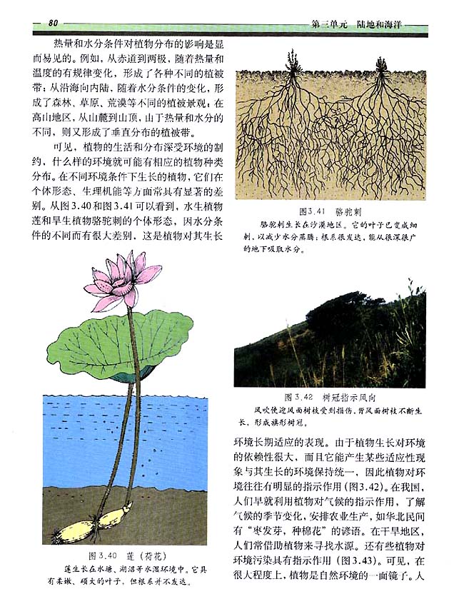 3．6 生物(第80页)