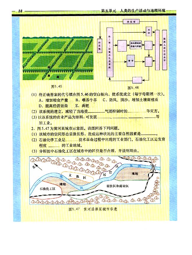 自学园地 练习篇(第38页)
