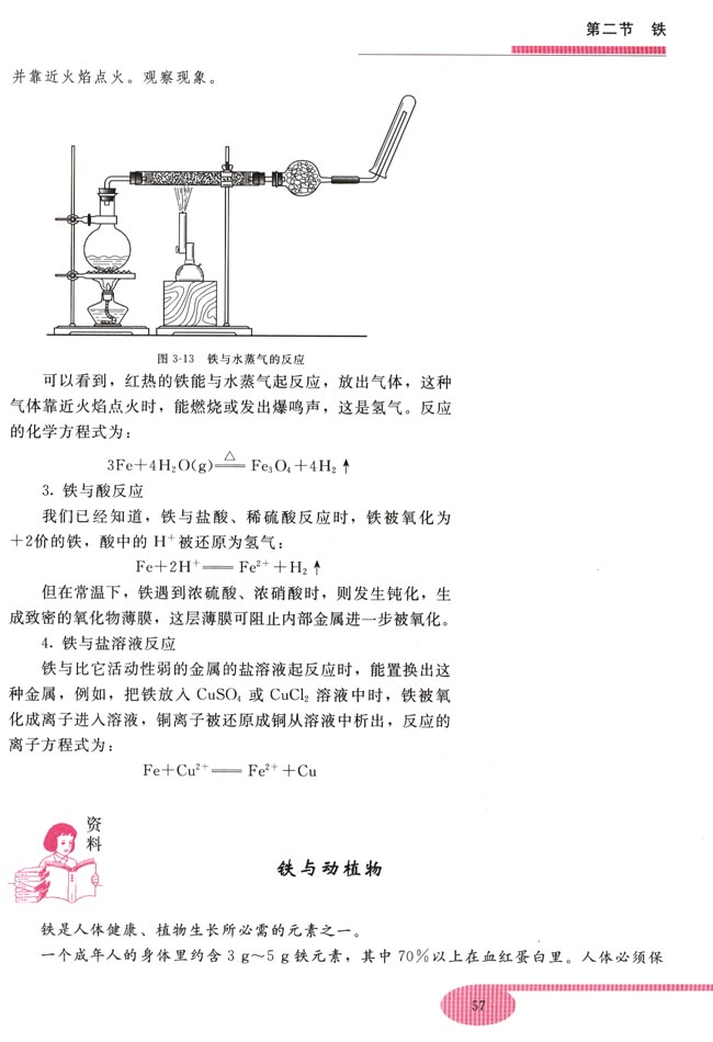 第二节 铁(第57页)