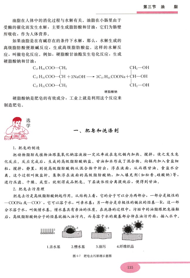第三节 油脂(第135页)