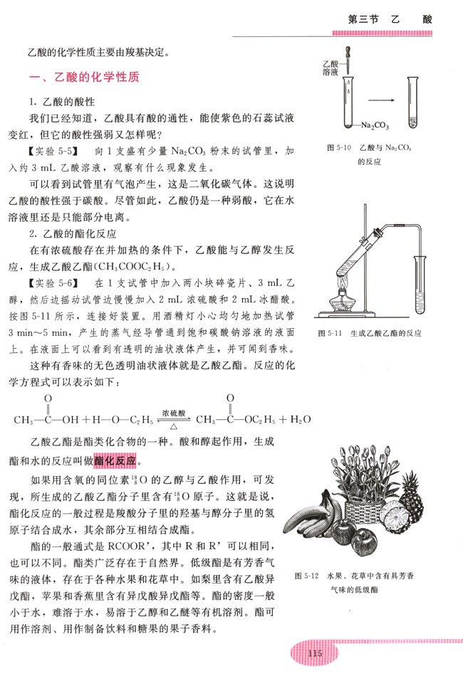 第三节 乙酸(第115页)