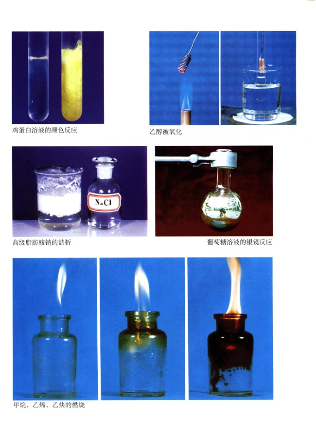 封面/前言/目录