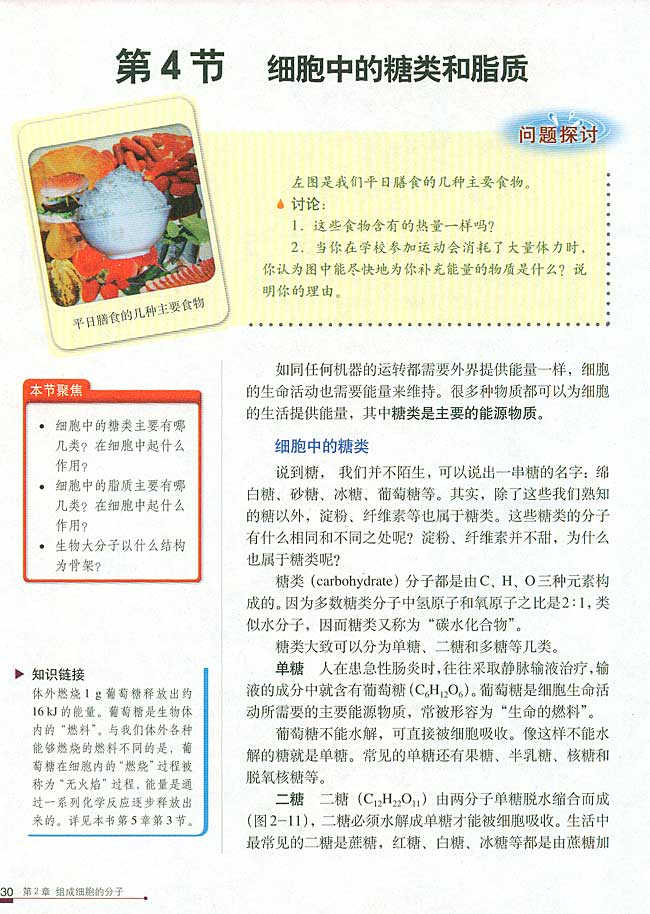 第4节 细胞中的糖类和脂质(第30页)