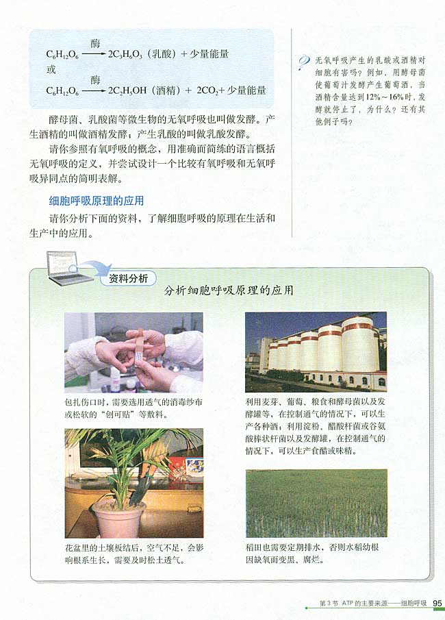 第3节 ATP的主要来源──细胞呼吸(第95页)