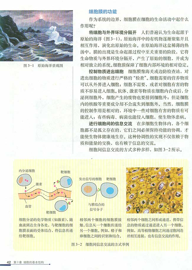第1节 细胞膜──系统的边界(第42页)