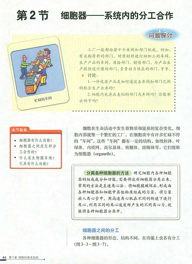 第2节 细胞器──系统内的分工合作(第44页)