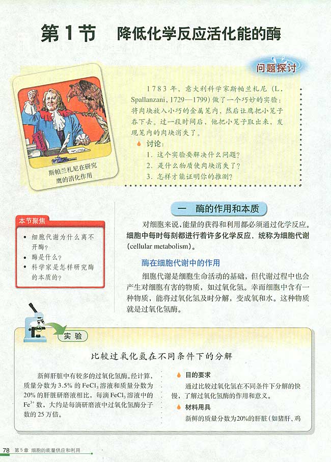 第1节 降低化学反应活化能的酶  一 酶的作用和本质(第78页)