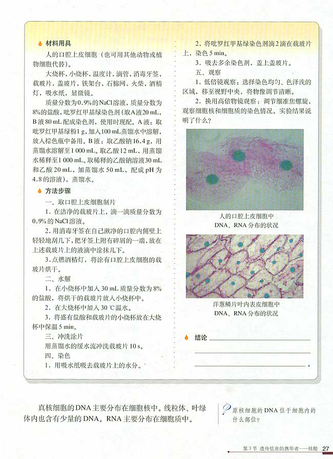 第3节 遗传信息的携带者(第27页)