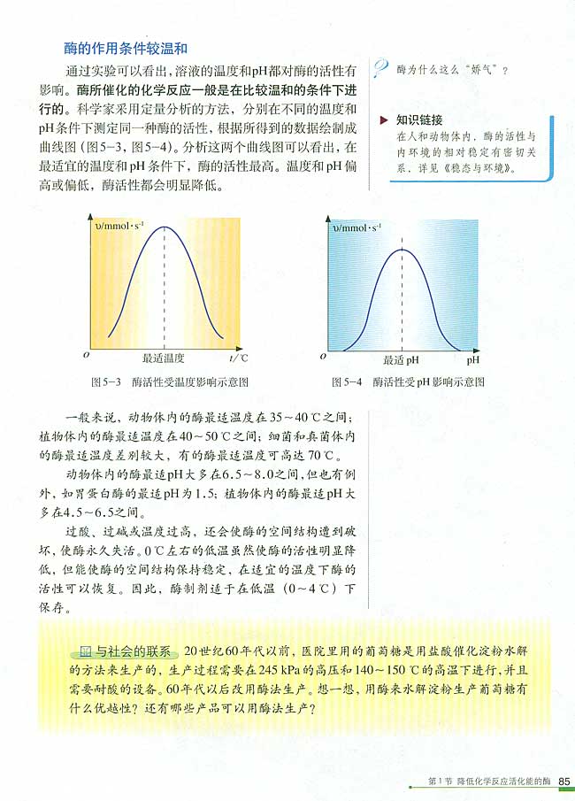 二 酶的特性(第85页)