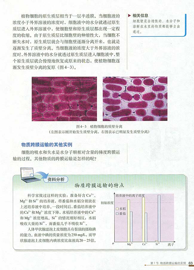 第1节 物质跨膜运输的实例(第63页)