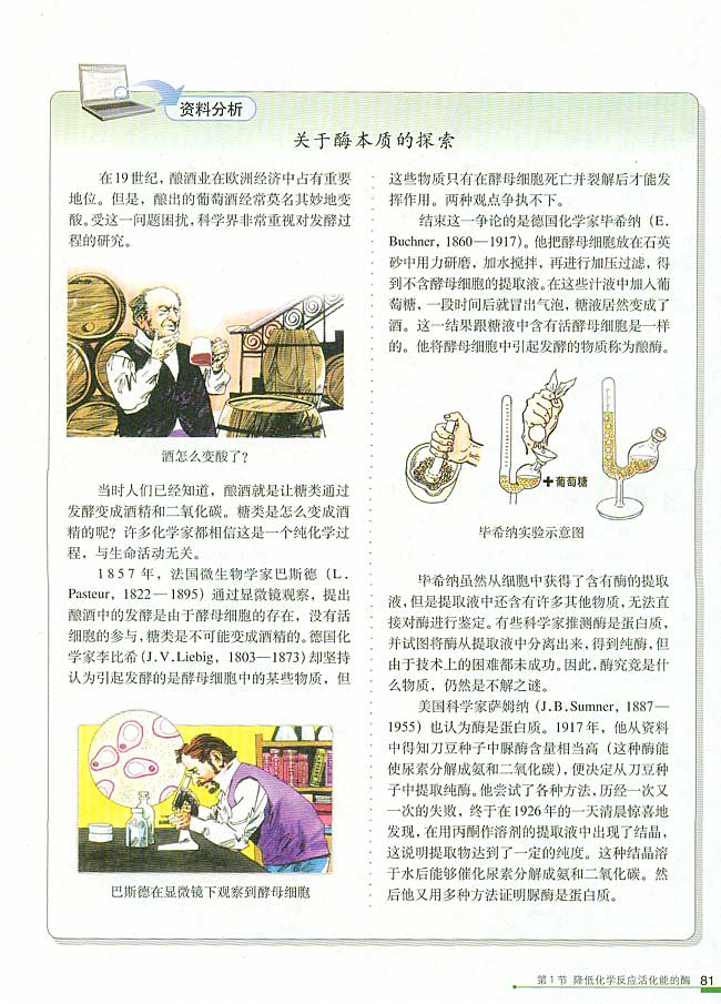 第1节 降低化学反应活化能的酶  一 酶的作用和本质(第81页)