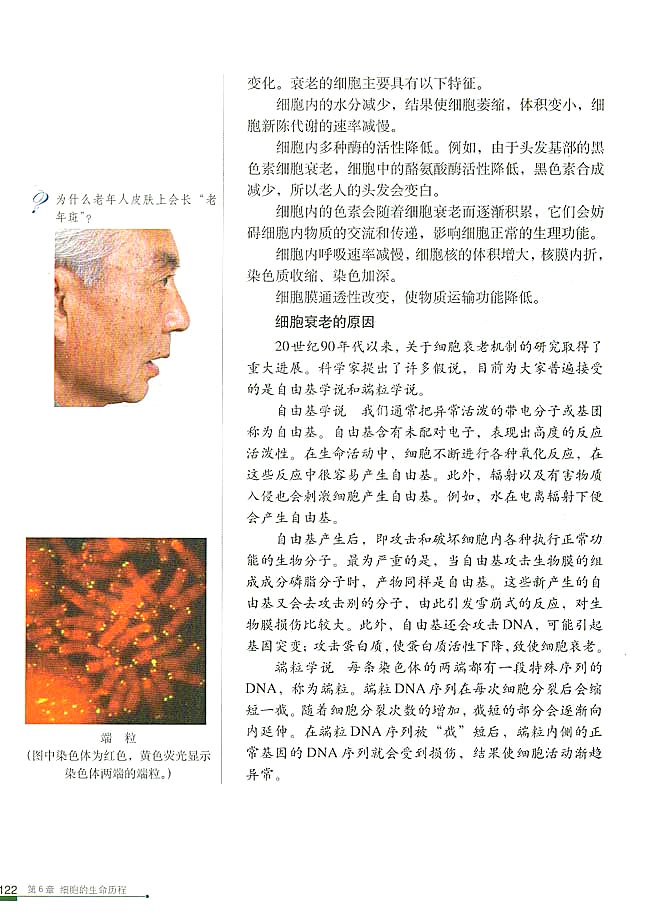 第3节 细胞的衰老和凋亡(第128页)
