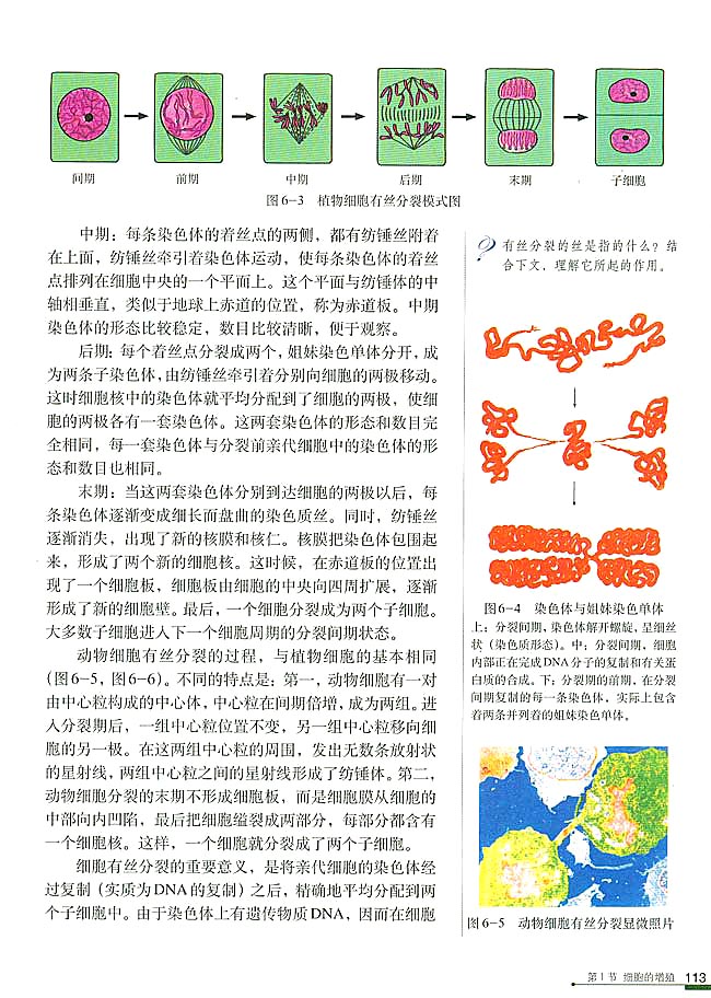 第1节 细胞的增殖(第113页)
