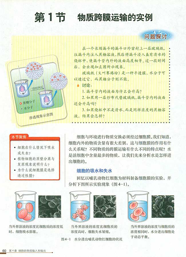 第1节 物质跨膜运输的实例(第60页)