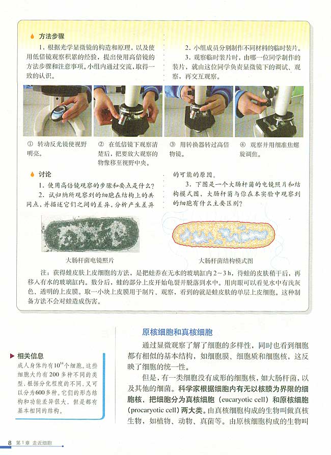 第2节 细胞的多样性和统一性(第8页)