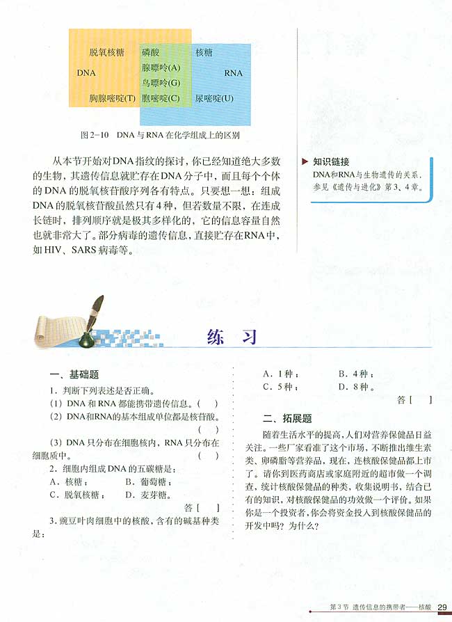 第3节 遗传信息的携带者(第29页)