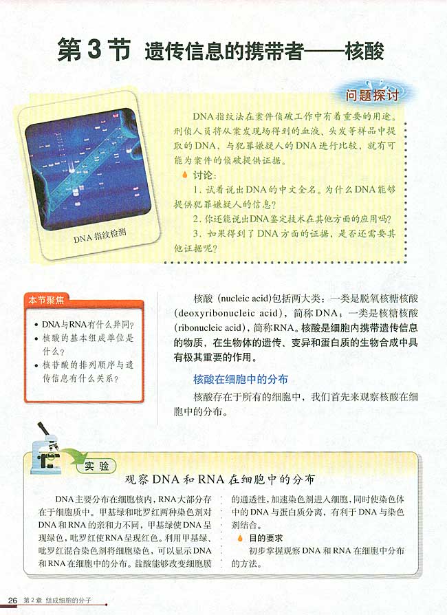 第3节 遗传信息的携带者(第26页)