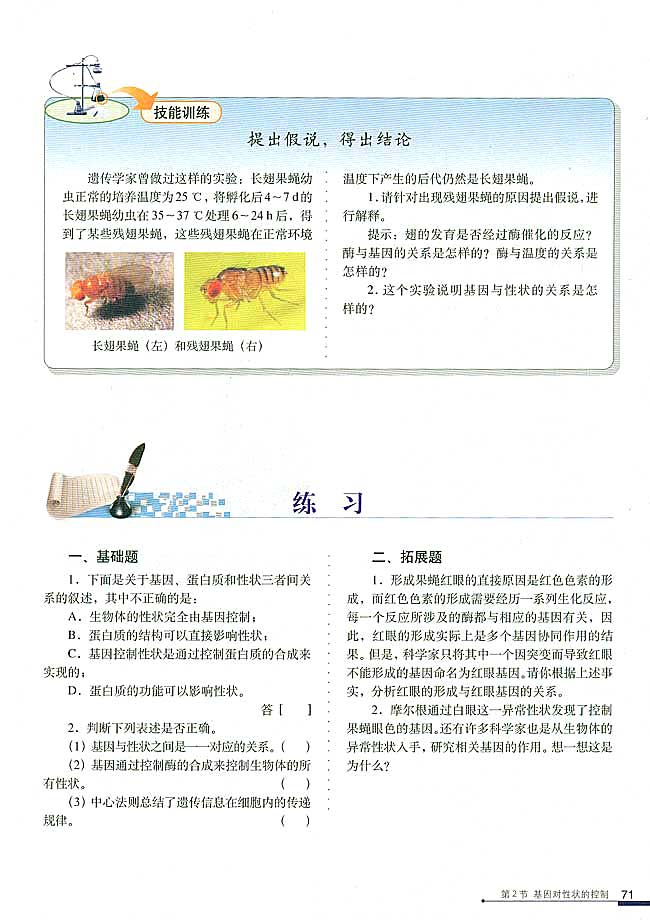 第2节 基因对性状的控制(第71页)