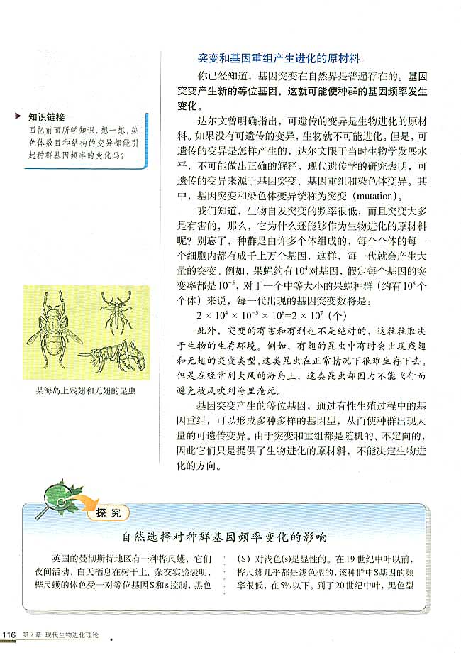 第2节 现代生物进化理论的主要内容 一 种群基因频率的改变与生物进化(第116页)