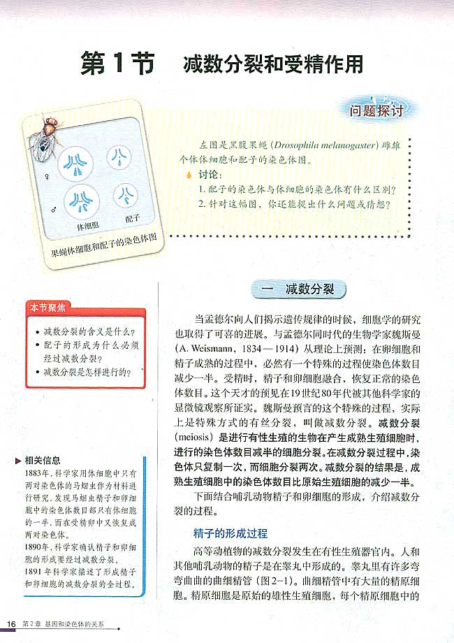 第1节 减数分裂和受精作用 一 减数分裂(第16页)