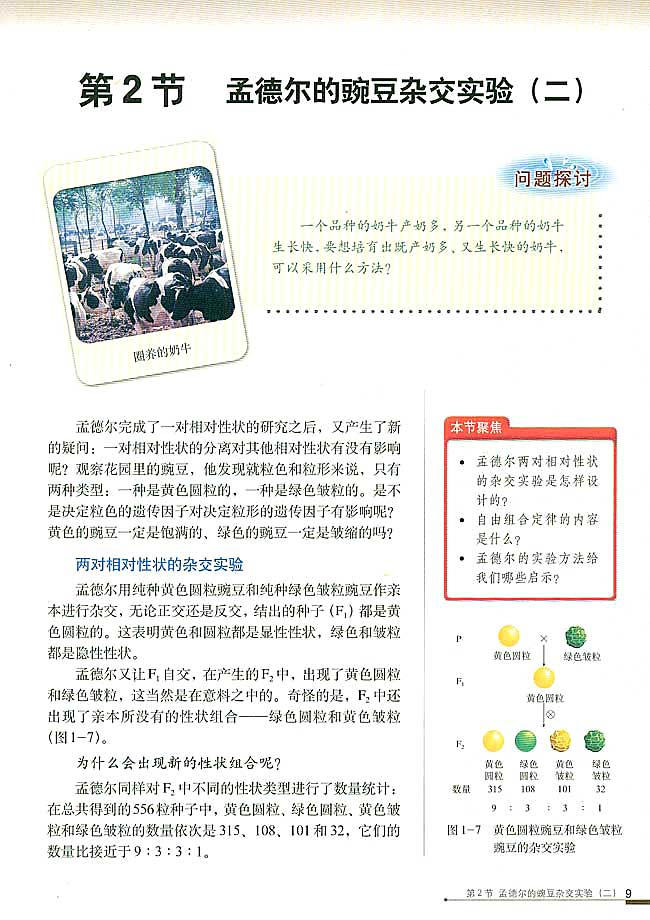 第2节 孟德尔的豌豆杂交实验（二）(第9页)