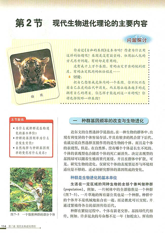 第2节 现代生物进化理论的主要内容 一 种群基因频率的改变与生物进化(第114页)