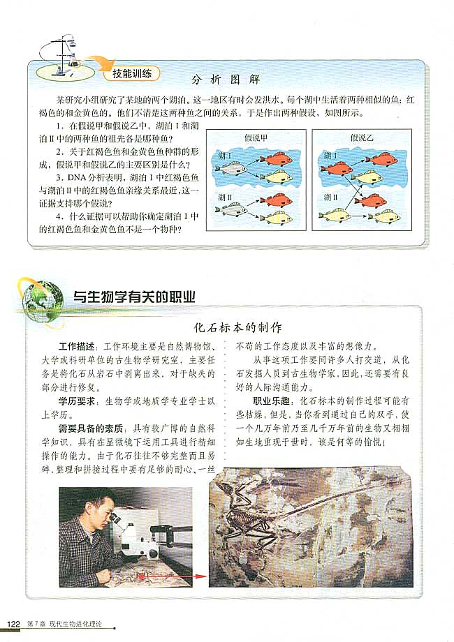 与生物学有关的职业 化石标本的制作(第122页)