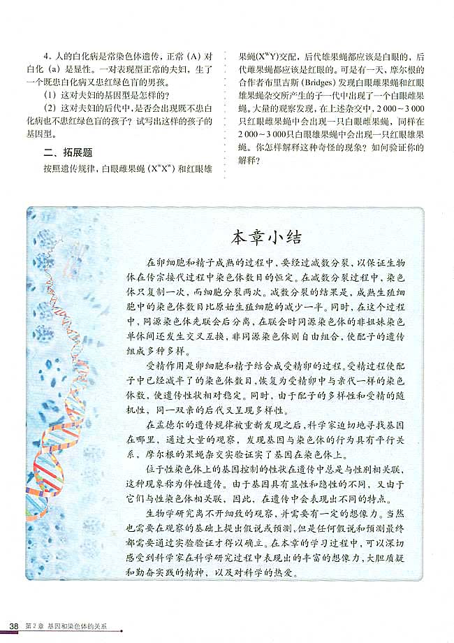 第3节 伴性遗传(第38页)