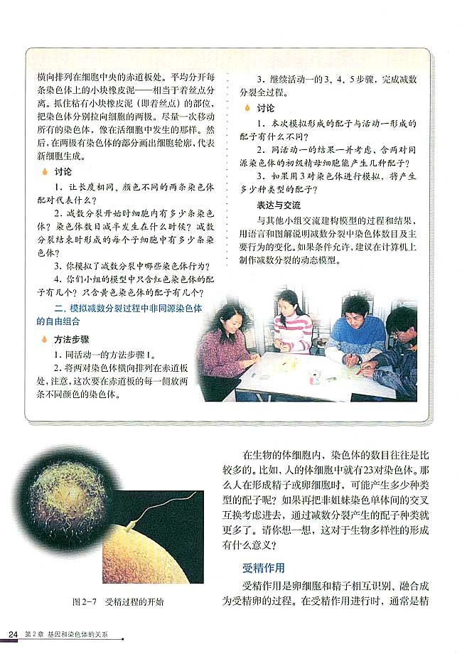 二 受精作用(第24页)