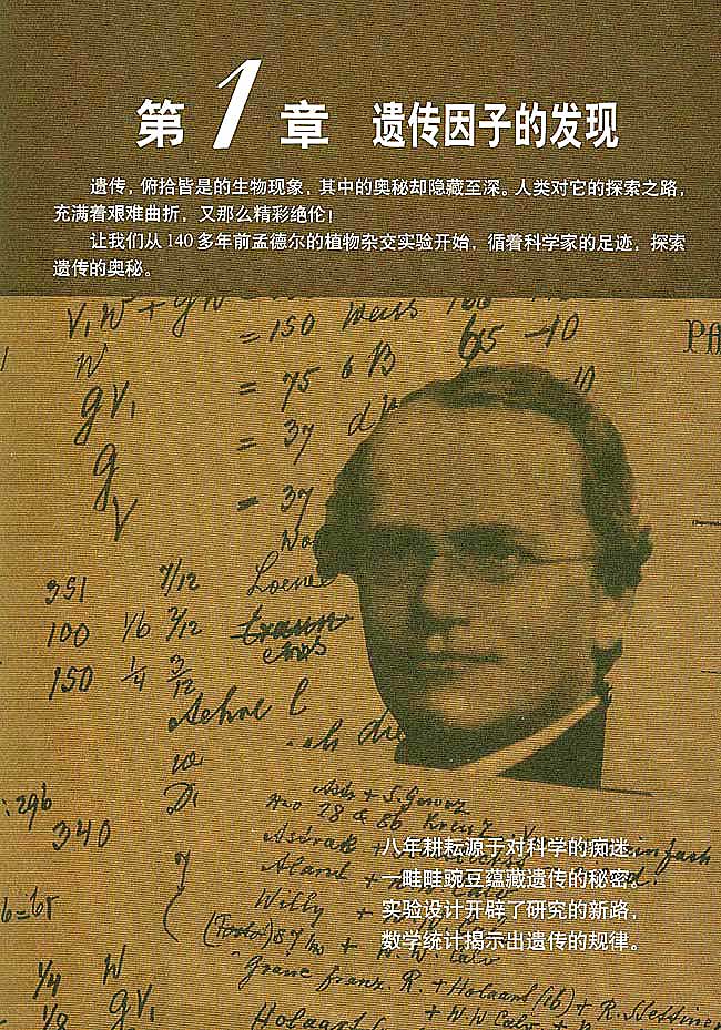 第1章 遗传因子的发现(第1页)