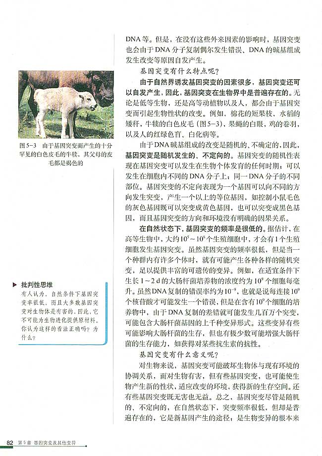 第1节 基因突变和基因重组(第82页)