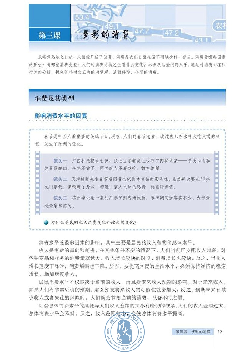 消费及其类型(第17页)
